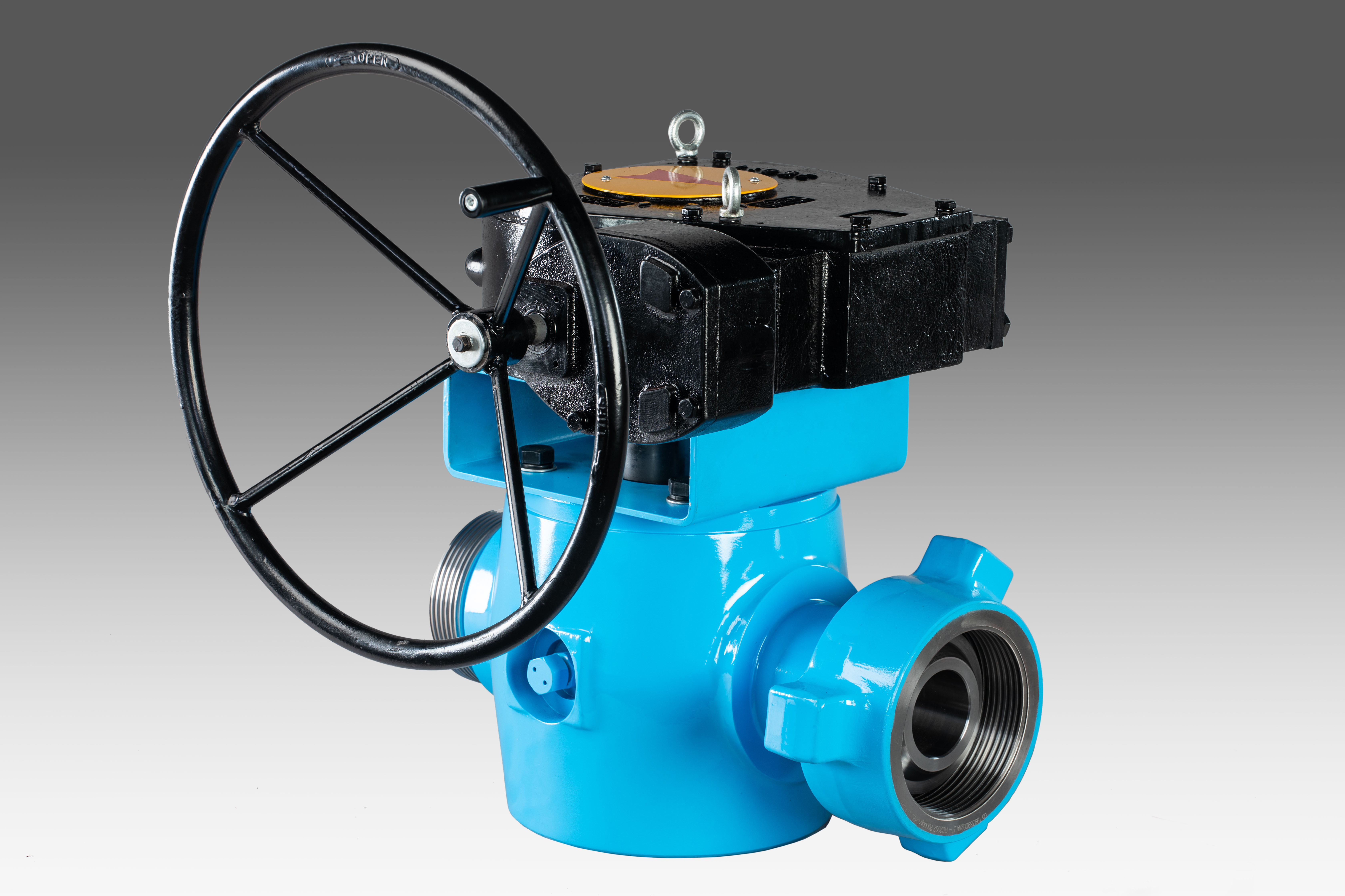 MICH7389.jpg MICH7389.jpg