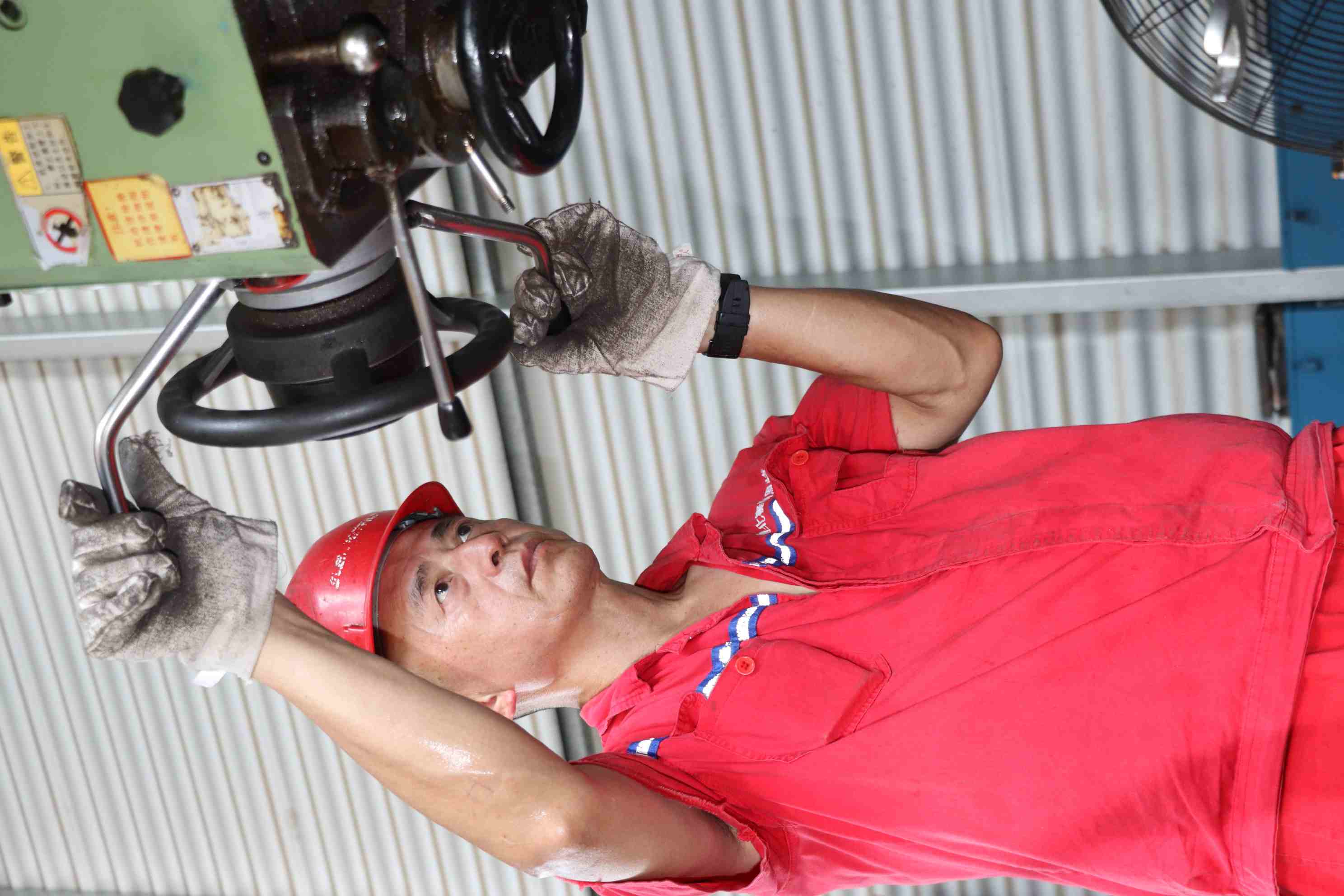 IMG_6431-ys.JPG IMG_6431-ys.JPG